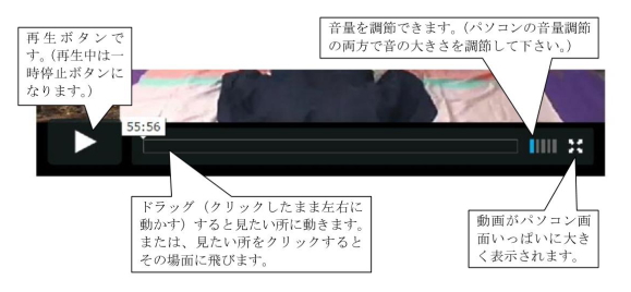 �u�肢���������@2010�v�����v���[���g
